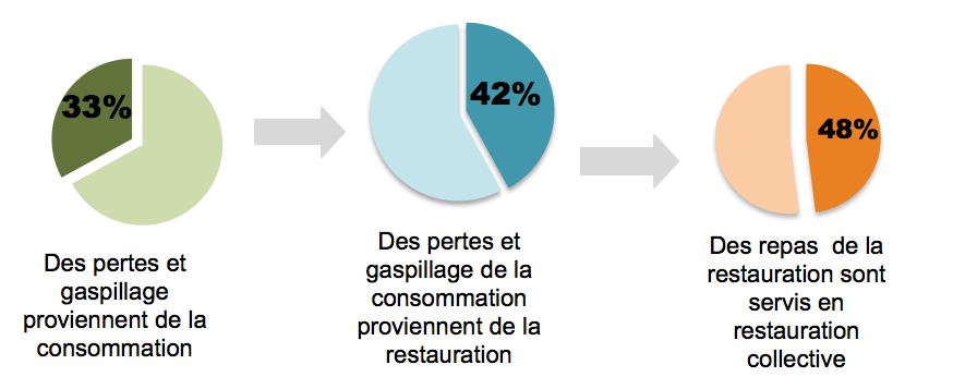 alimentation_diagramme_gaspillage