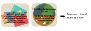 alimentation_diagramme_gaspillage